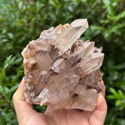 Natural Phantom Quartz Crystal Cluster Raw Mineral Specimen for Healing, Meditation, Energy Work & Home Dcor - RMI811