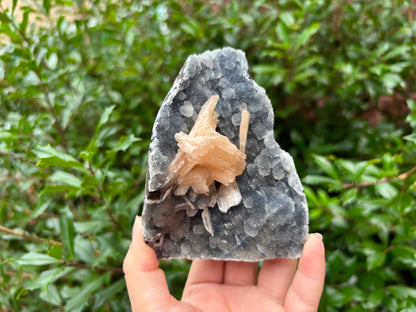 Natural Stilbite on Chalcedony Rare Peach Stilbite Crystal Cluster Mineral Specimen for Healing, Meditation, Energy Work, Collectors & Home Decor - RMI815