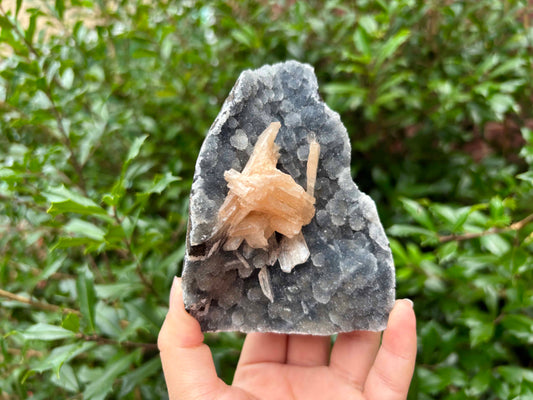 Natural Stilbite on Chalcedony Rare Peach Stilbite Crystal Cluster Mineral Specimen for Healing, Meditation, Energy Work, Collectors & Home Decor - RMI815