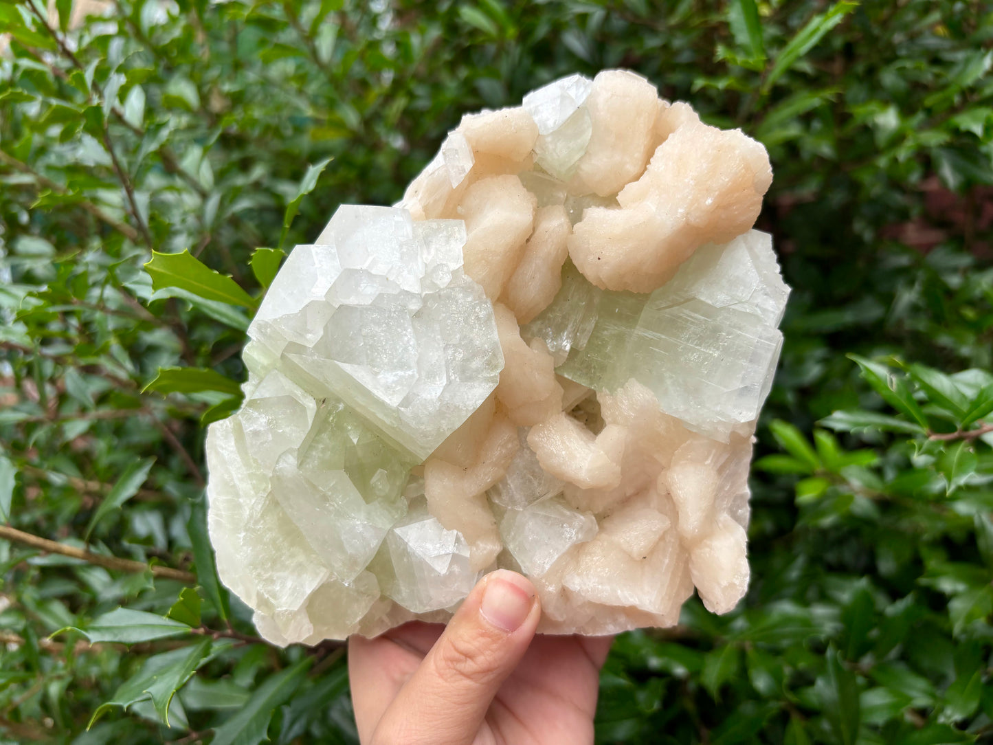 Natural Stilbite & Green Apophyllite Mineral Specimen Beautiful Crystal Cluster for Healing, Meditation, Energy Work, Collectors & Home Decor Display - RMI819