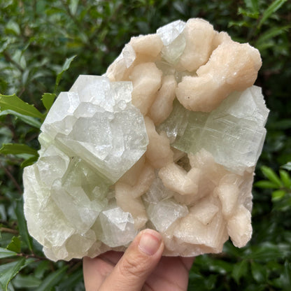Natural Stilbite & Green Apophyllite Mineral Specimen Beautiful Crystal Cluster for Healing, Meditation, Energy Work, Collectors & Home Decor Display - RMI819