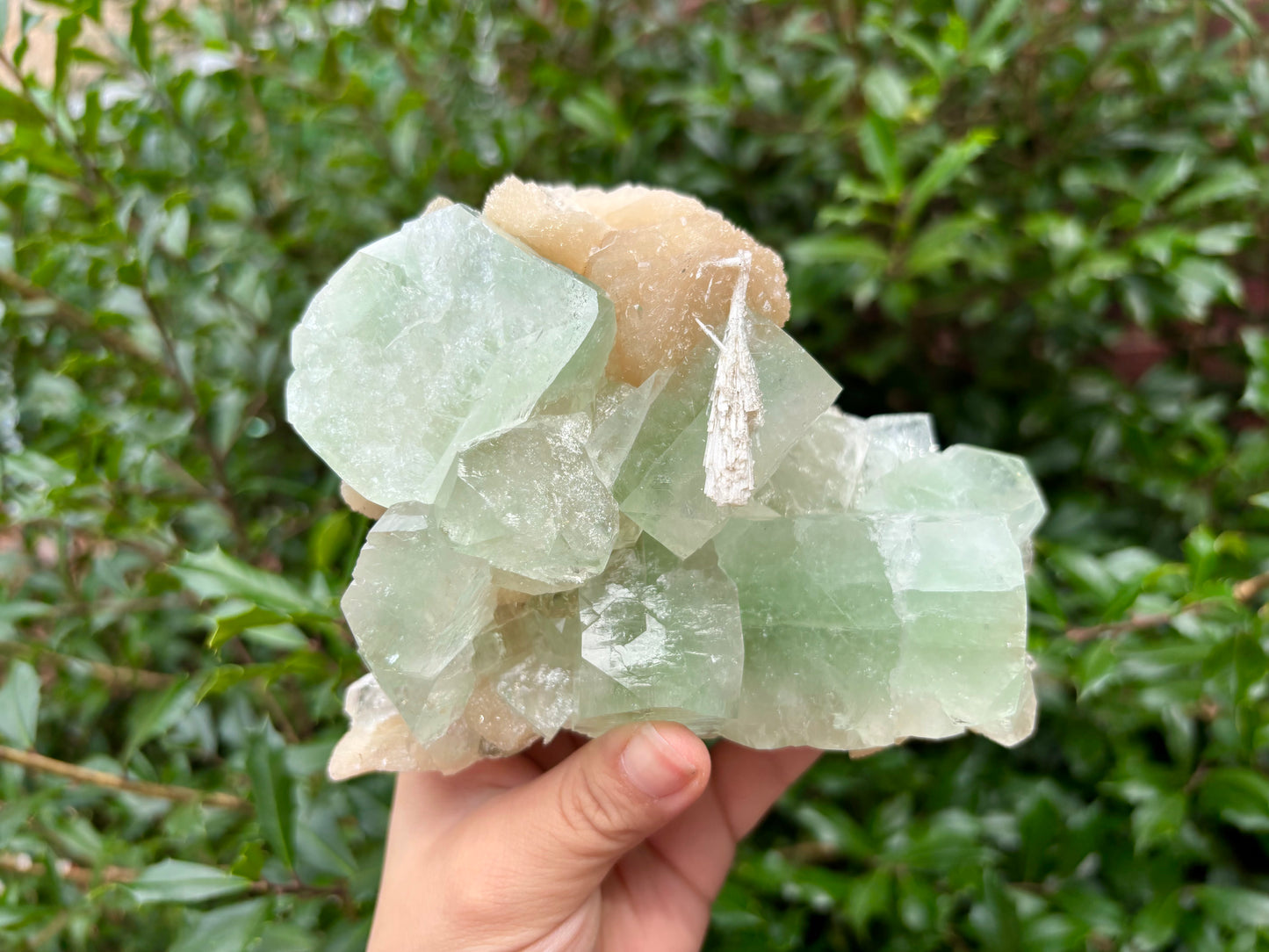 Natural Green Apophyllite & Stilbite Mineral Specimen Stunning Crystal Cluster for Healing Energy, Meditation, Home & Office Decor, Collectors - RMI825