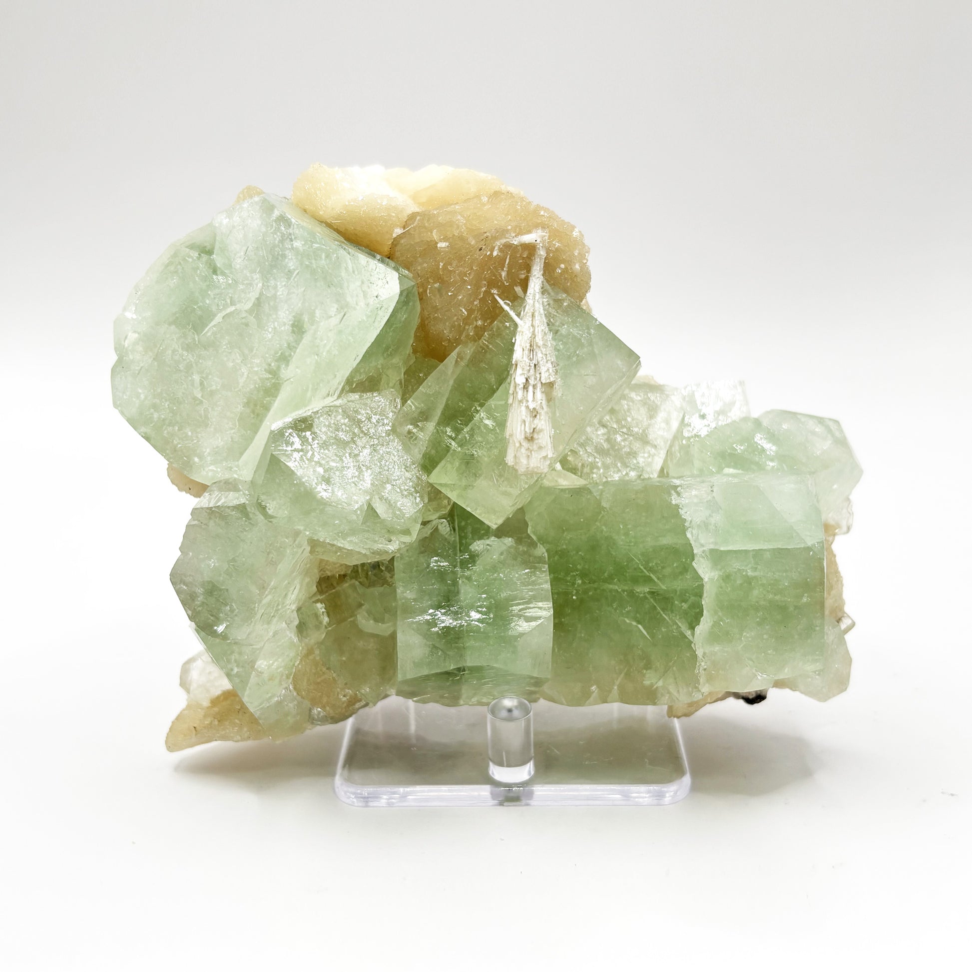Natural Green Apophyllite & Stilbite Mineral Specimen - Gem Avenue