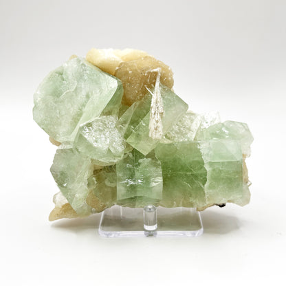 Natural Green Apophyllite & Stilbite Mineral Specimen - Gem Avenue