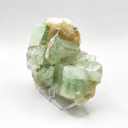 Natural Green Apophyllite & Stilbite Mineral Specimen - Gem Avenue
