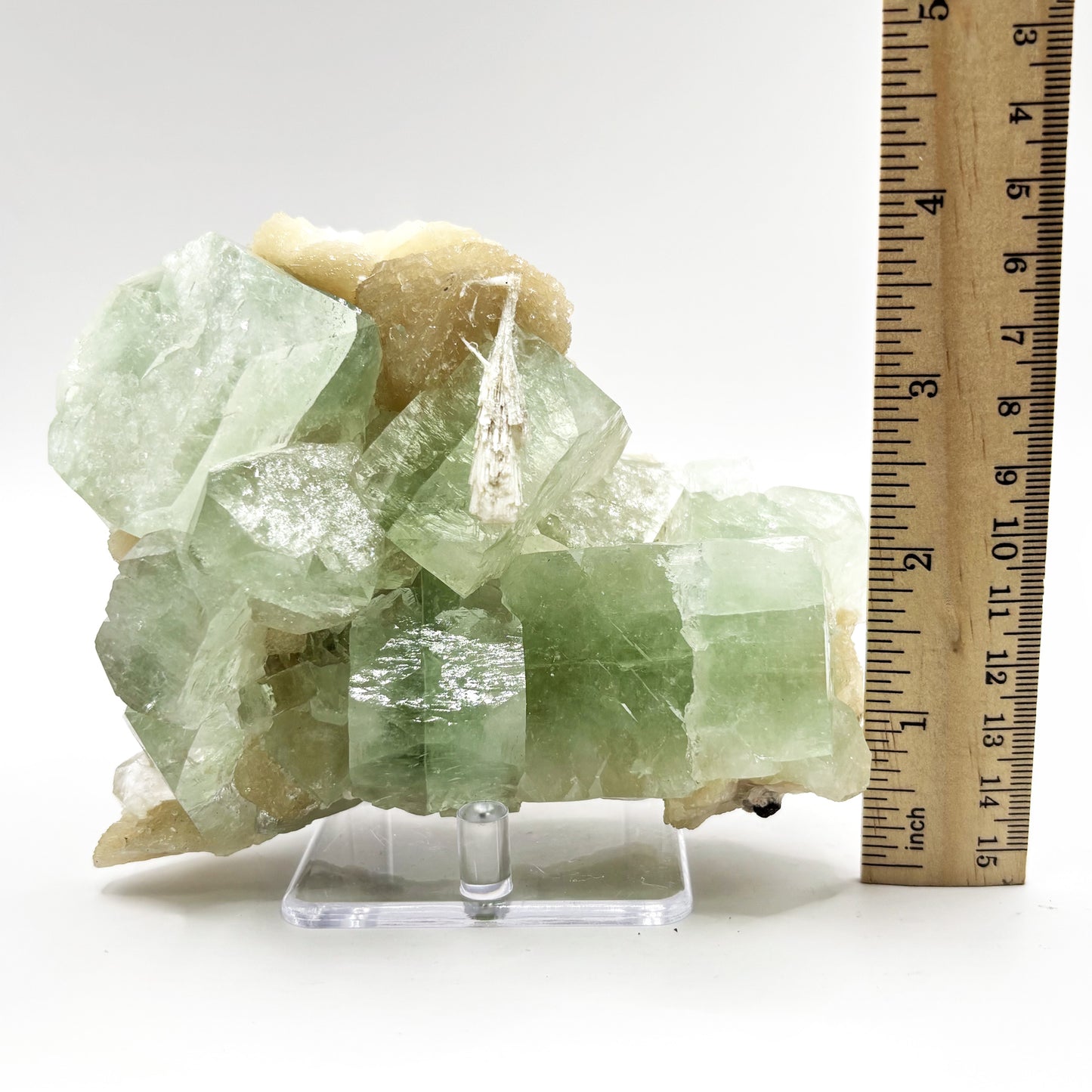 Natural Green Apophyllite & Stilbite Mineral Specimen - Gem Avenue