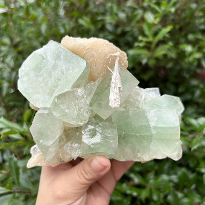 Natural Green Apophyllite & Stilbite Mineral Specimen - Gem Avenue