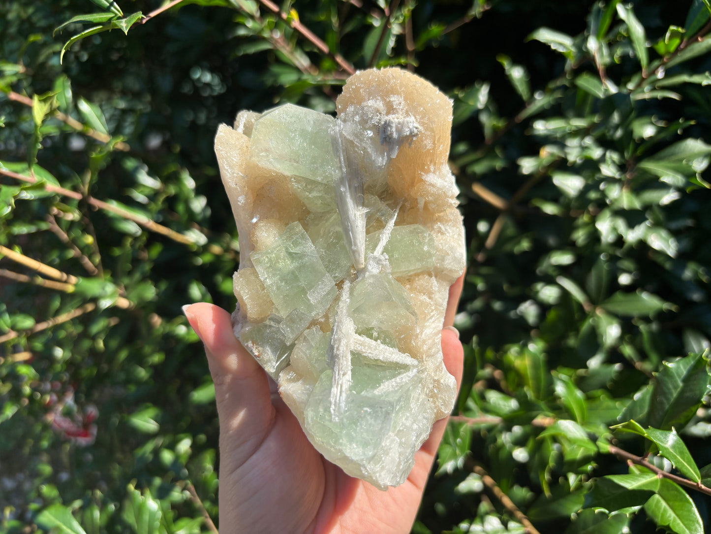 Natural Green Apophyllite, Stilbite & Scolecite Mineral Specimen Unique Crystal Cluster for Collectors, Healing Energy, and Home Decor Display - RMI830