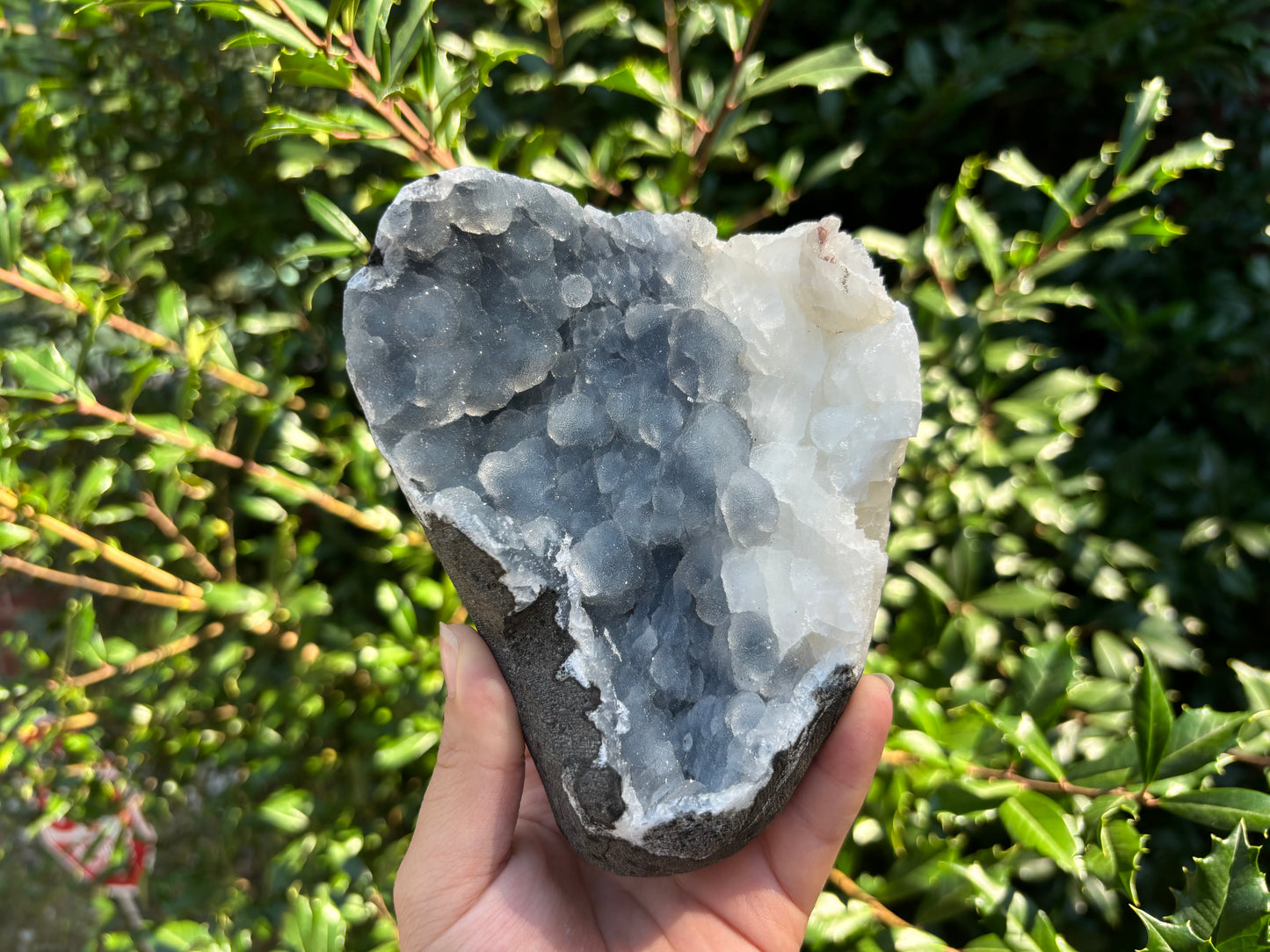 Natural Chalcedony Mineral Specimen Rare Crystal Cluster for Collectors, Healing Energy, Meditation, and Decorative Display - RMI833