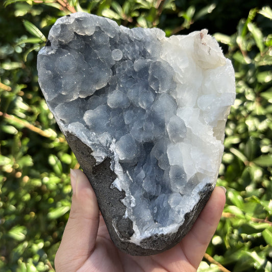 Natural Chalcedony Mineral Specimen - Gem Avenue
