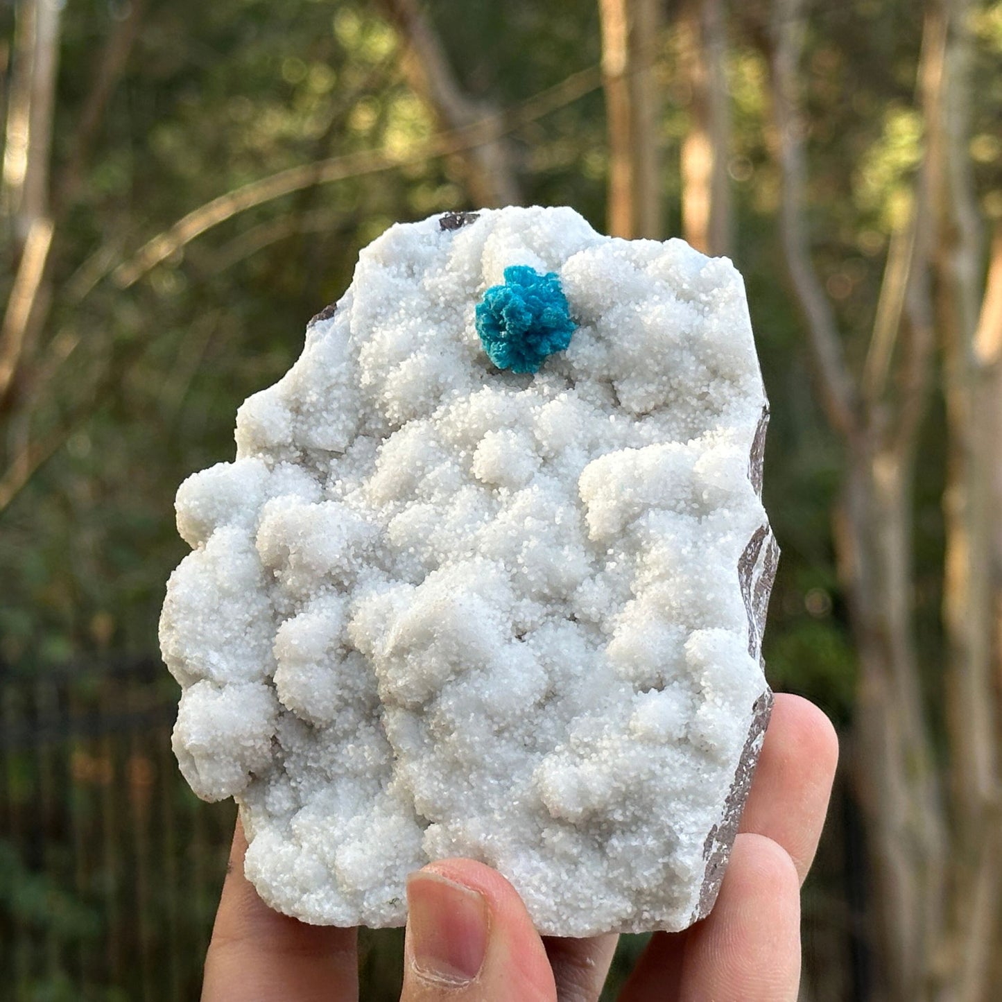 Natural Cavansite Mineral Specimen - Gem Avenue Retail