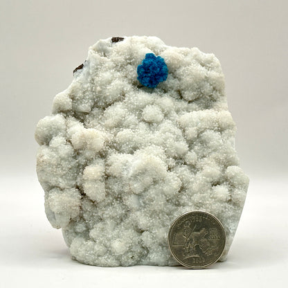 Natural Cavansite Mineral Specimen - Gem Avenue Retail