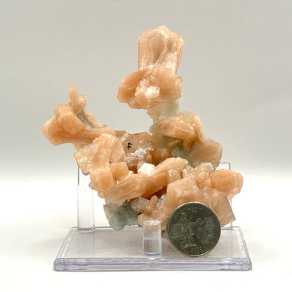 Natural Stilbite & Chalcedony Mineral Specimen - Gem Avenue Retail