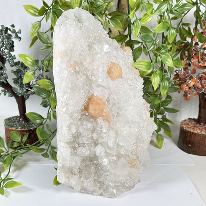 Apophyllite Stilbite Mineral Specimen - Gem Avenue Retail