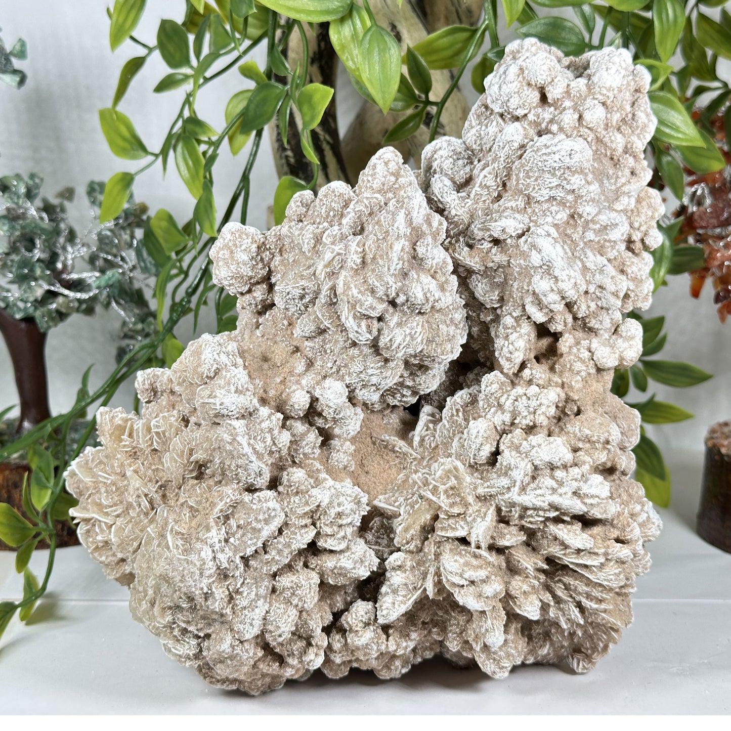 Desert Rose Mineral Specimen - Gem Avenue Retail