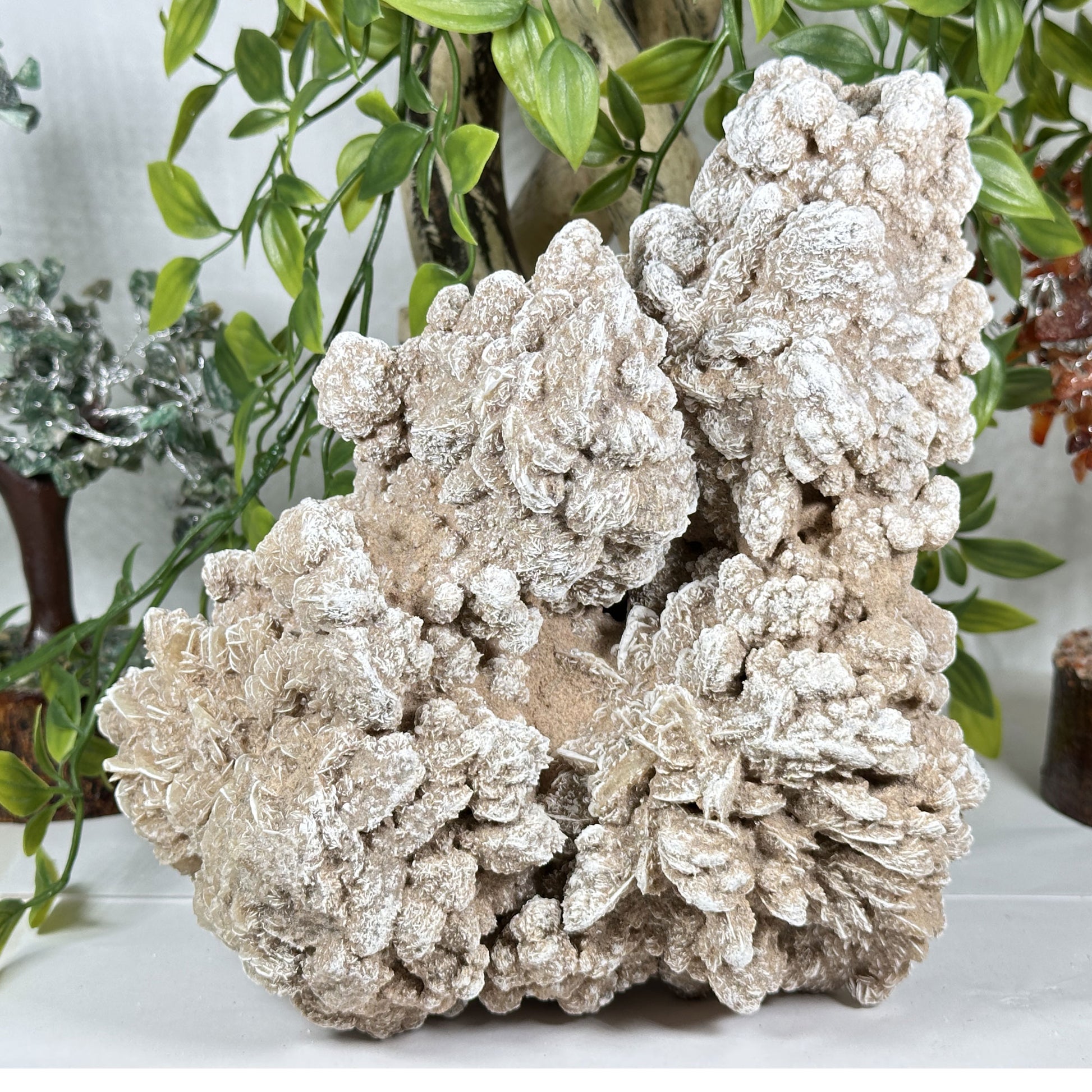 Desert Rose Mineral Specimen - Gem Avenue Retail
