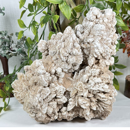 Desert Rose Mineral Specimen - Gem Avenue Retail