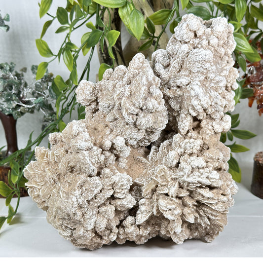 Desert Rose Mineral Specimen - Gem Avenue Retail