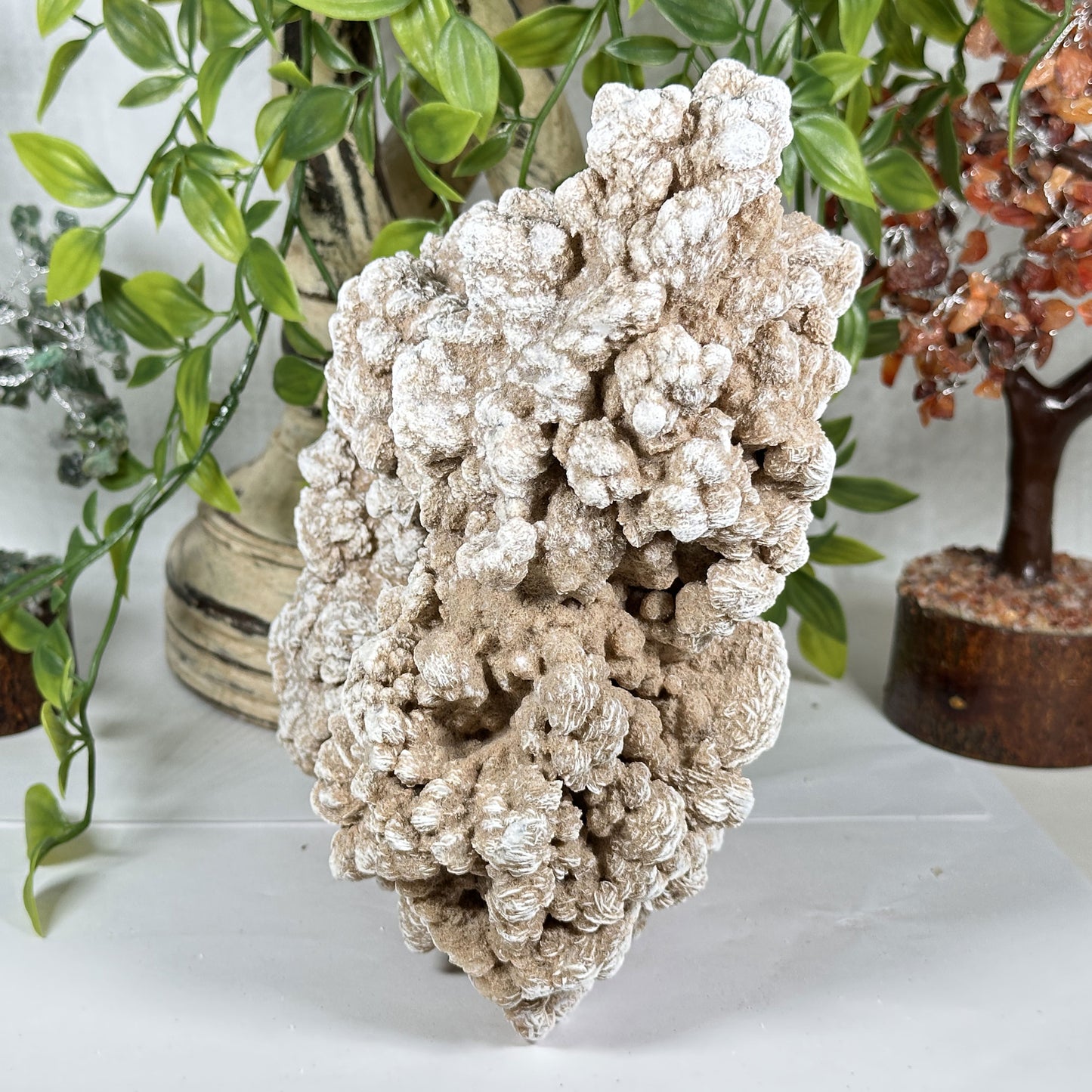 Desert Rose Mineral Specimen - Gem Avenue Retail