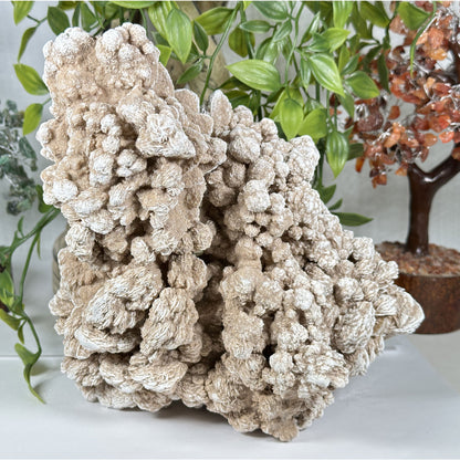 Desert Rose Mineral Specimen - Gem Avenue Retail