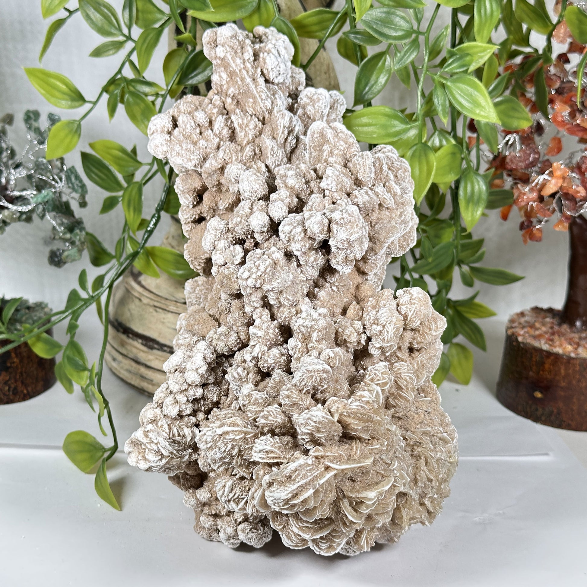 Desert Rose Mineral Specimen - Gem Avenue Retail