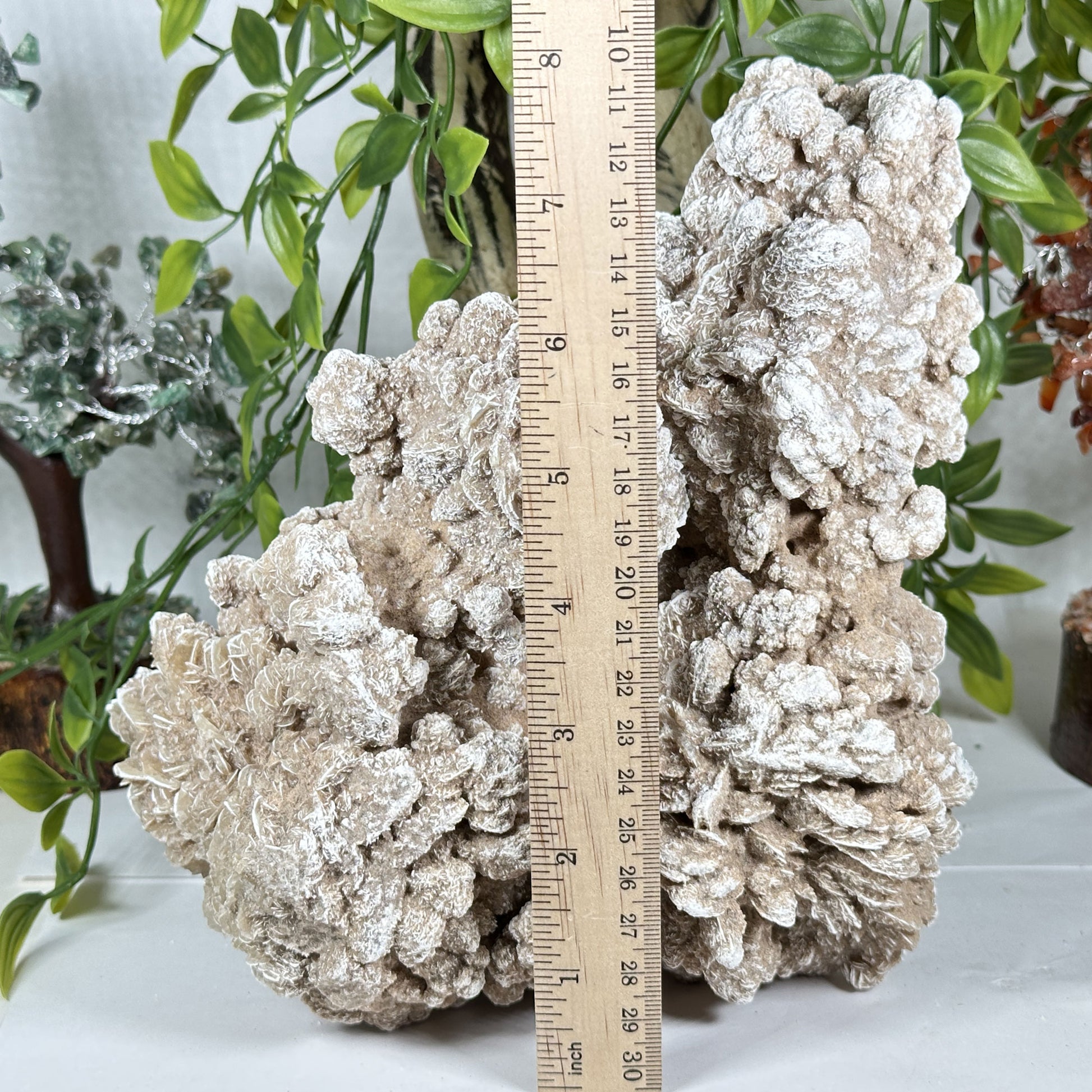 Desert Rose Mineral Specimen - Gem Avenue Retail