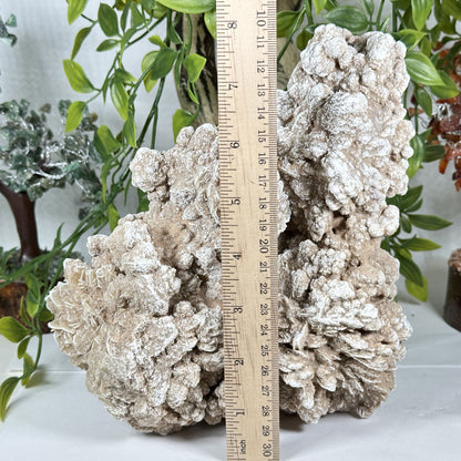 Desert Rose Mineral Specimen - Gem Avenue Retail