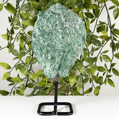 Green Fuchsite Mineral Specimen - Gem Avenue Retail