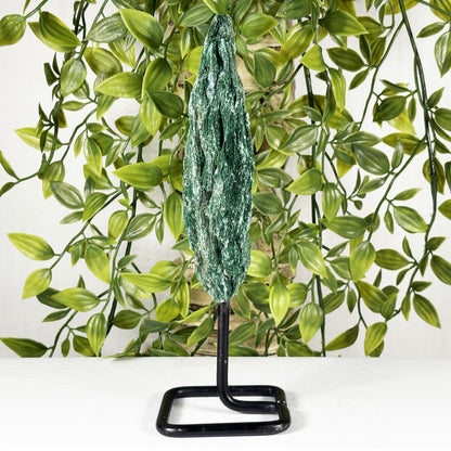 Green Fuchsite Mineral Specimen - Gem Avenue Retail