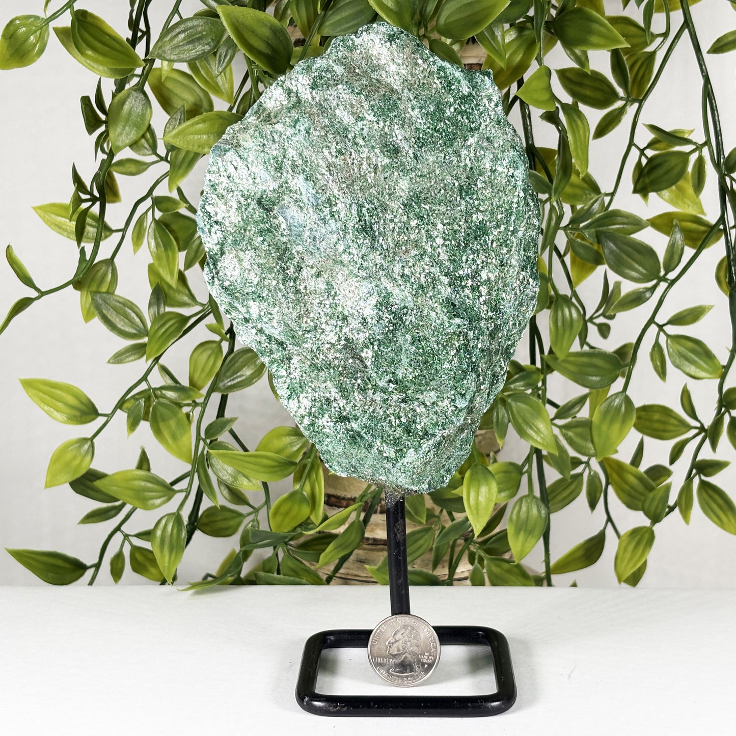 Green Fuchsite Mineral Specimen - Gem Avenue Retail