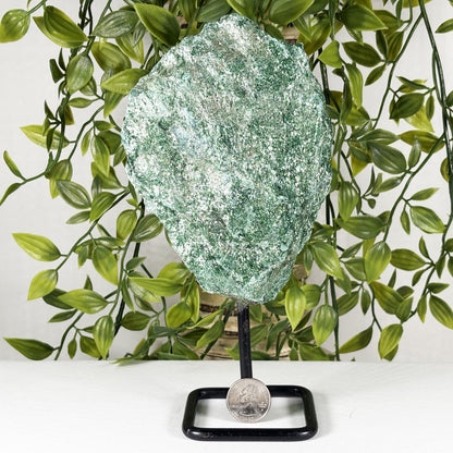 Green Fuchsite Mineral Specimen - Gem Avenue Retail