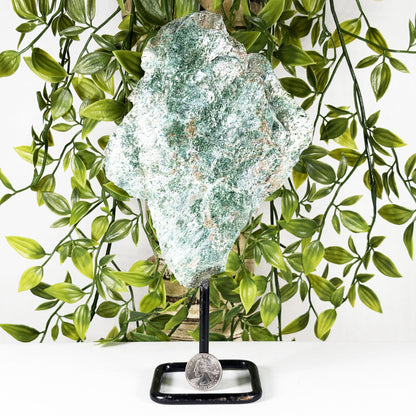 Green Fuchsite Mineral Specimen - Gem Avenue Retail