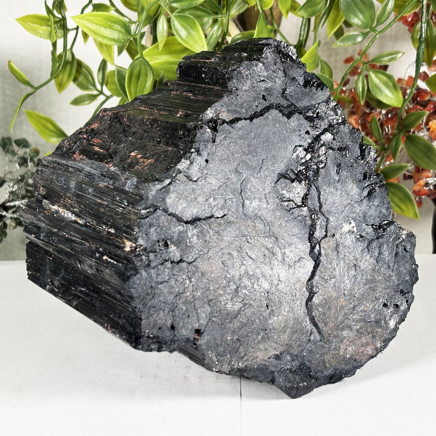 Black Tourmaline Mineral Specimen - Gem Avenue Retail