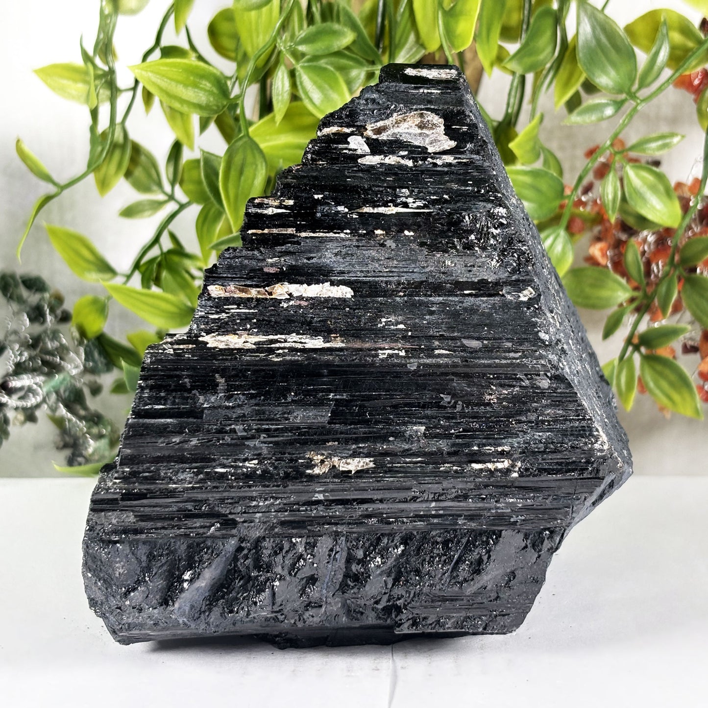 Black Tourmaline Mineral Specimen - Gem Avenue Retail
