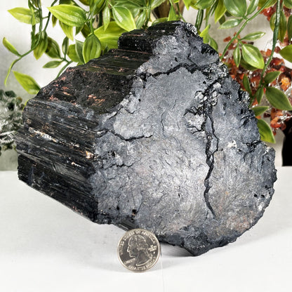 Black Tourmaline Mineral Specimen - Gem Avenue Retail