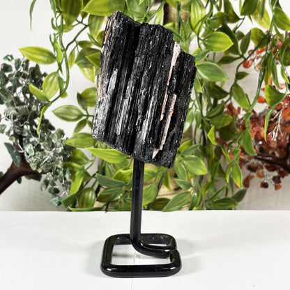 Black Tourmaline Mineral Specimen - Gem Avenue Retail