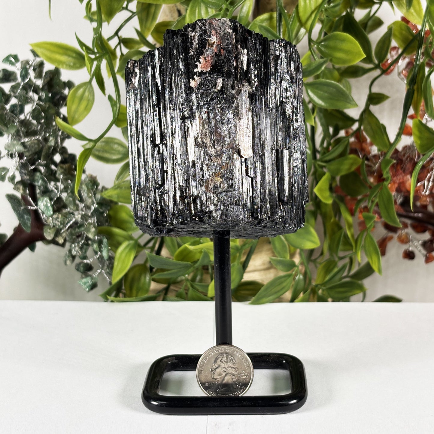 Black Tourmaline Mineral Specimen - Gem Avenue Retail