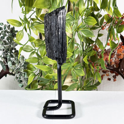 Black Tourmaline Mineral Specimen - Gem Avenue Retail