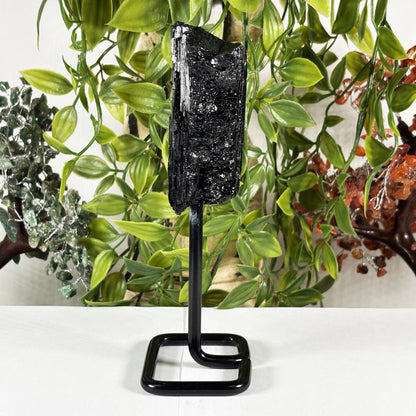 Black Tourmaline Mineral Specimen - Gem Avenue Retail