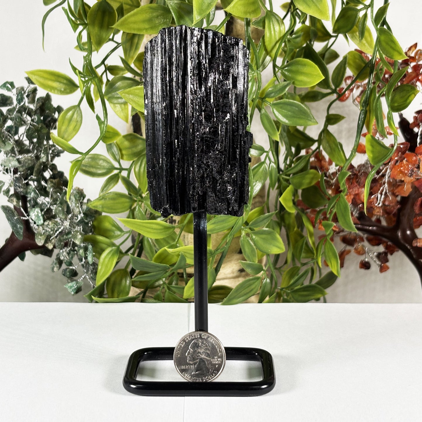 Black Tourmaline Mineral Specimen - Gem Avenue Retail