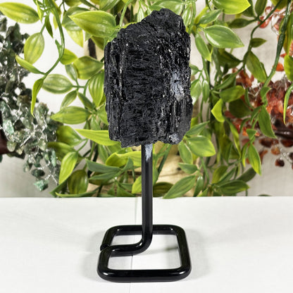 Black Tourmaline Mineral Specimen  - Gem Avenue Retail