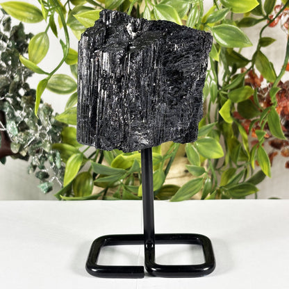 Black Tourmaline Mineral Specimen  - Gem Avenue Retail