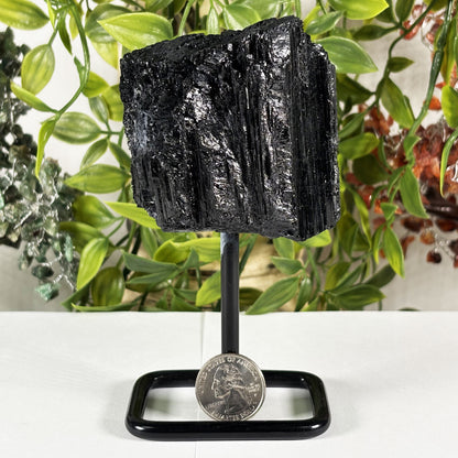 Black Tourmaline Mineral Specimen  - Gem Avenue Retail