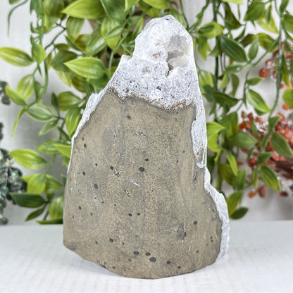 Chalcedony Mineral Specimen - Gem Avenue Retail