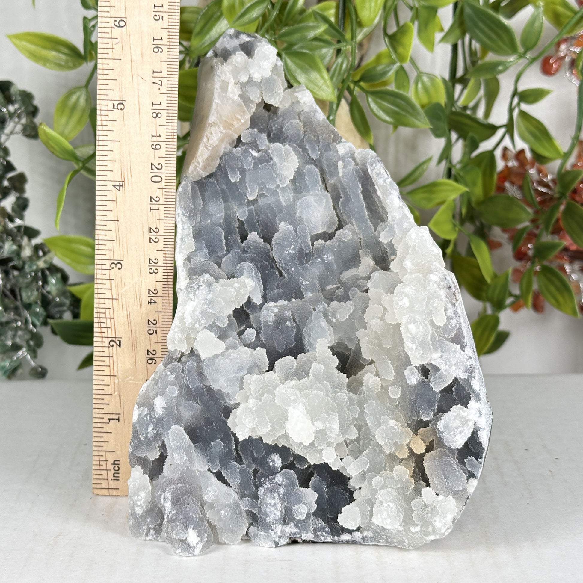 Chalcedony Mineral Specimen - Gem Avenue Retail