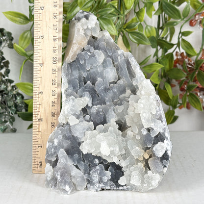 Chalcedony Mineral Specimen - Gem Avenue Retail