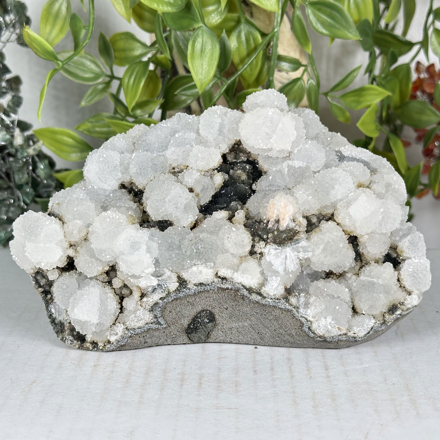 Chalcedony Mineral Specimen - Gem Avenue Retail