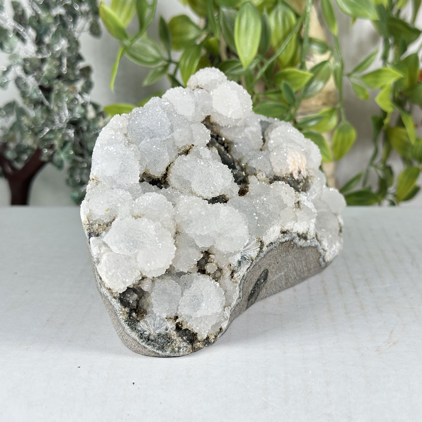 Chalcedony Mineral Specimen - Gem Avenue Retail