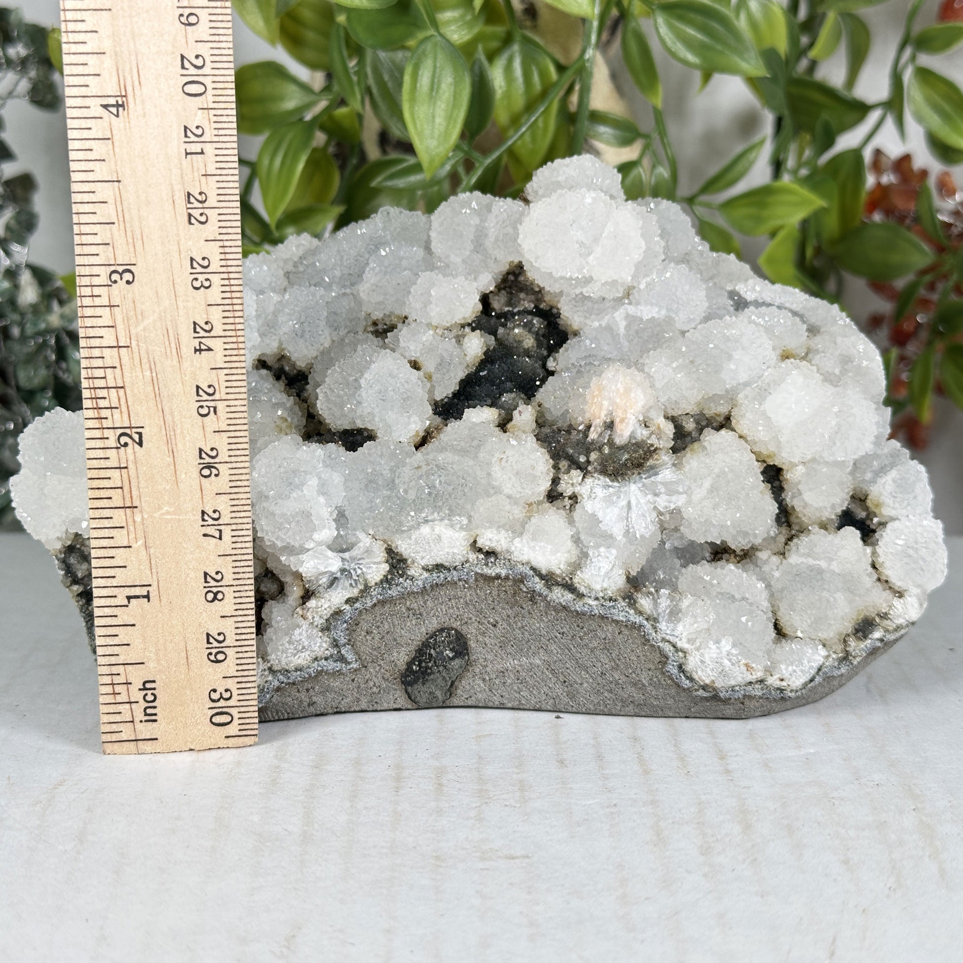 Chalcedony Mineral Specimen - Gem Avenue Retail