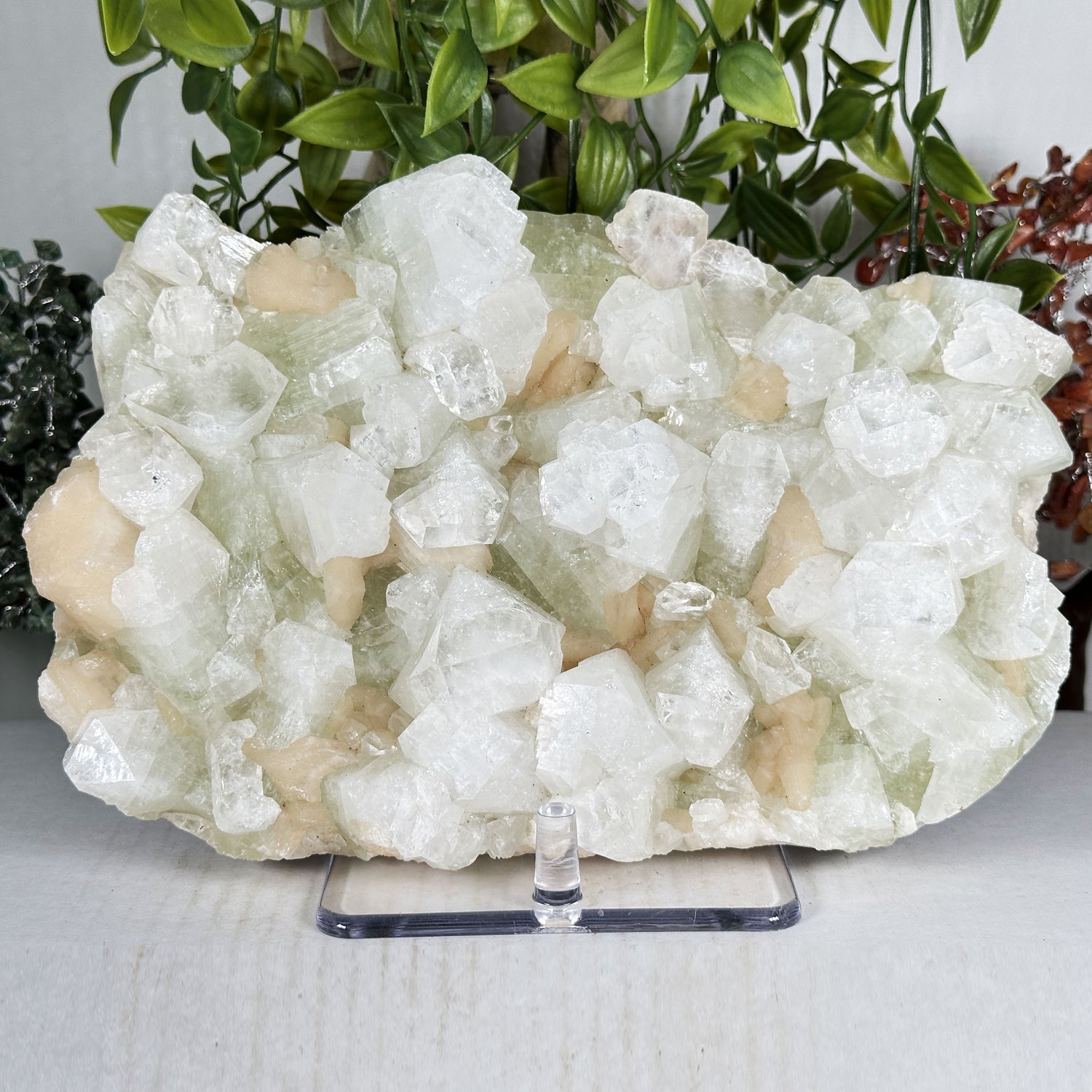 Green Apophyllite with Stilbite Crystal Mineral Specimen - Gem Avenue Retail
